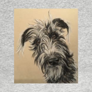 Scruffy Beddy/whippet Lurcher T-Shirt